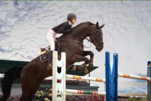elementos seguranca basicos montar caballo 300x200 - Elementos de segurança básicos para montar a cavalo