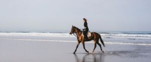 Cómo dar cuerda al caballo Cómo dar cuerda al caballo