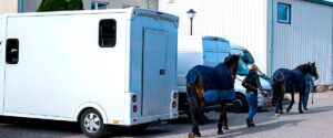 Transporte de caballos Transporte de caballos