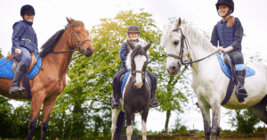 Guía de disciplinas ecuestres: todo lo que necesitas saber sobre el mundo del caballo Guía de disciplinas ecuestres: todo lo que necesitas saber sobre el mundo del caballo